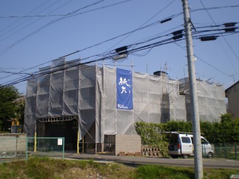 P6070005