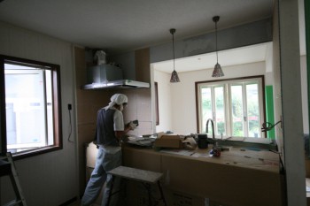 2013 0805 (7)