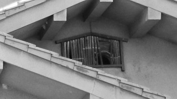 DSC_0141