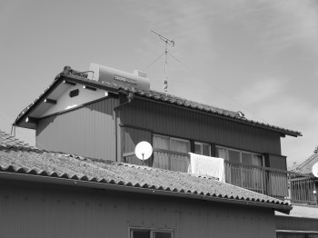 IMG_1139